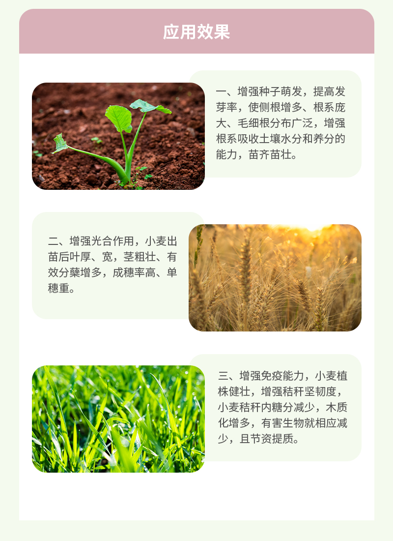 应用效果