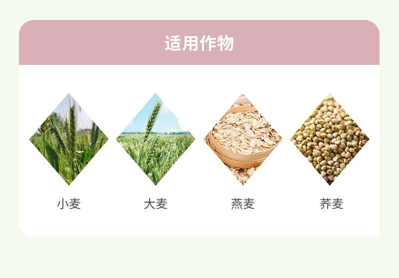 适用作物