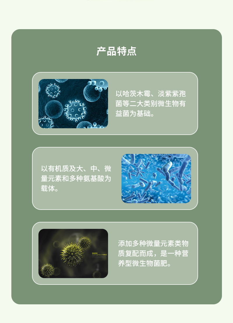 产品特点