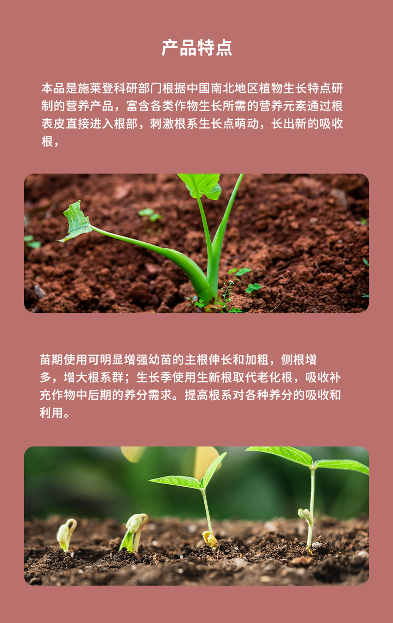 产品特点