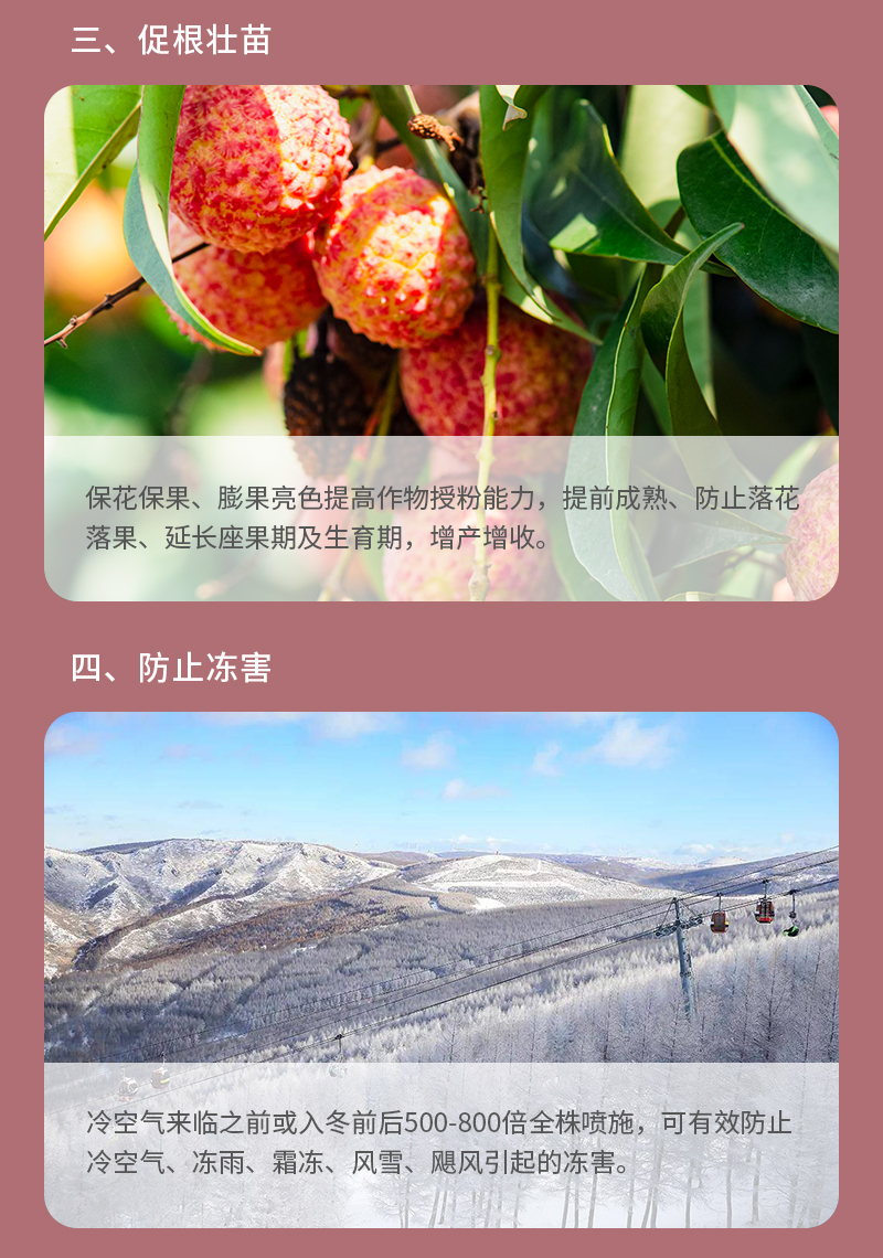 产品功效