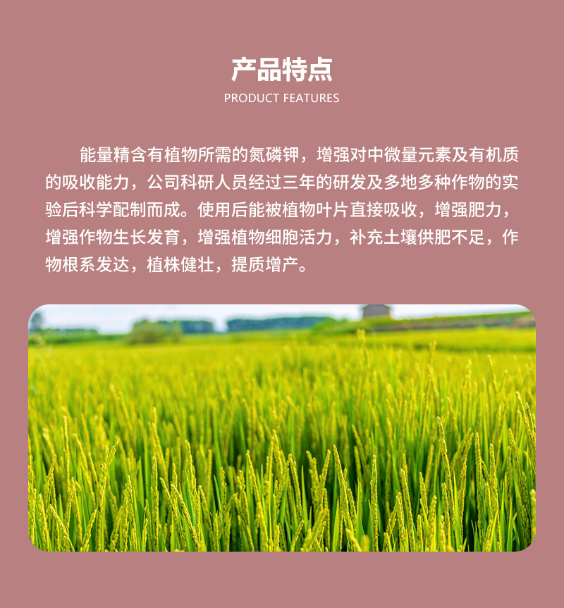 产品特点