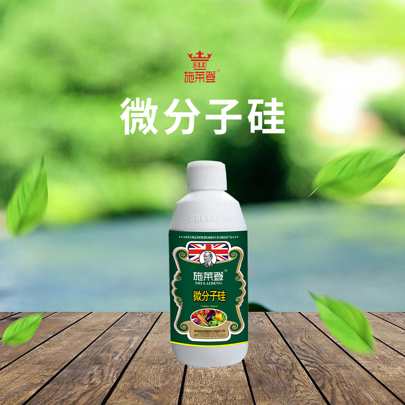微分子硅