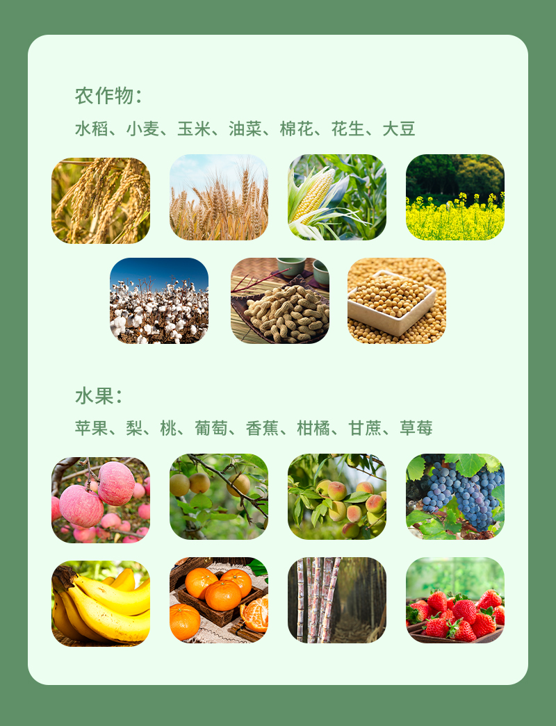 适用作物