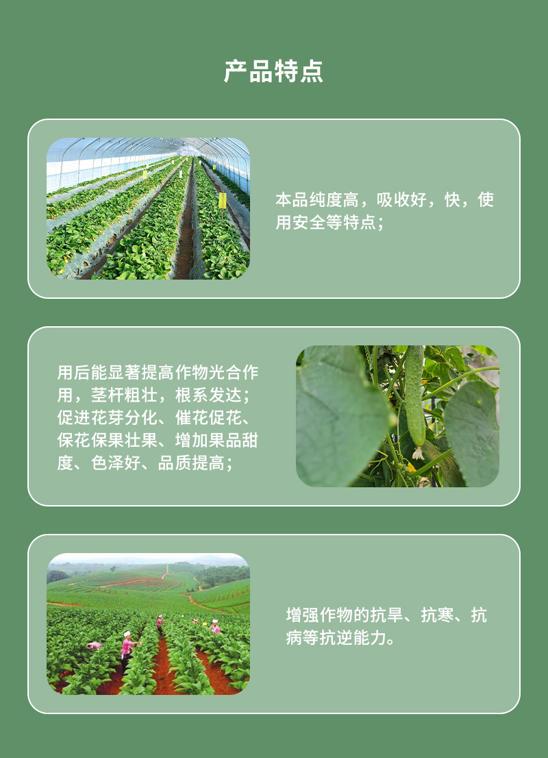 产品特点
