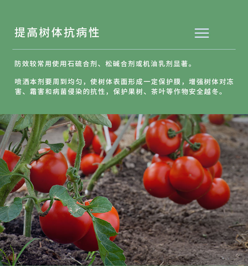 产品特点