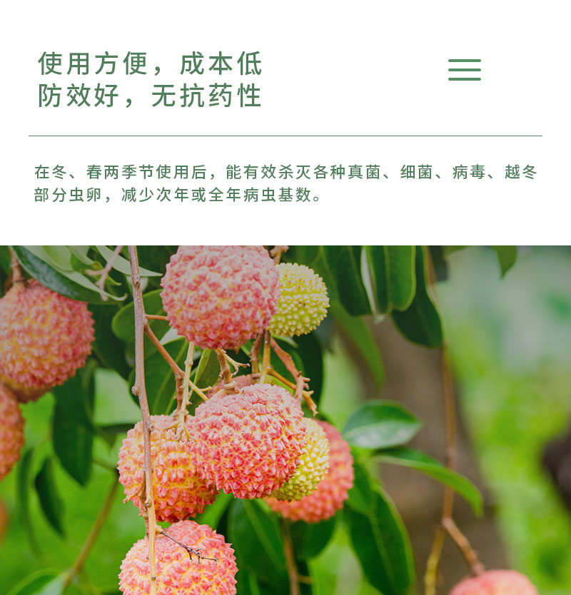 产品特点