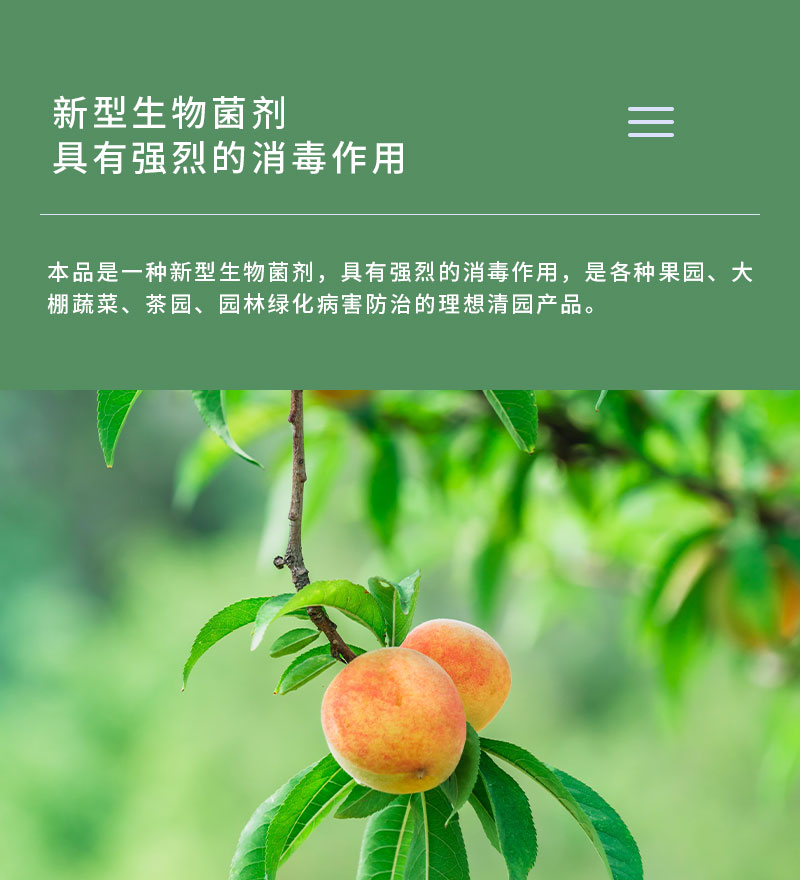 产品特点