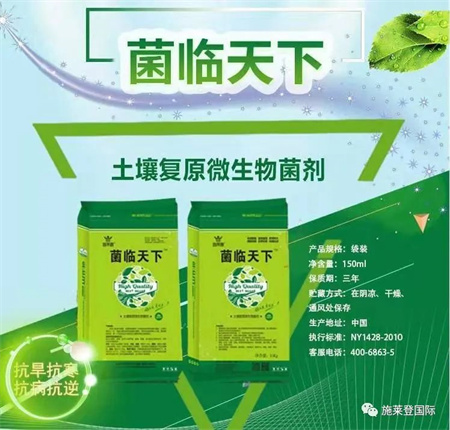 春天生长季，补钙黄金期！年年缺钙年年补，年年补钙年年缺？