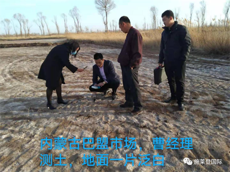 施莱登盐碱改良剂帮您解决土壤盐碱化盐酸化，让作物恢复勃勃生机！