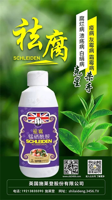 预警！气温回升，果树“腐烂病”开始大量蔓延，果农应该怎么办？