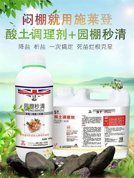 换茬闷棚季节，解决死苗烂棵施莱登园棚秒清有绝招