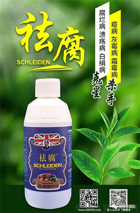 施莱登祛腐九大优势，作物根腐病、茎基腐病的克 星