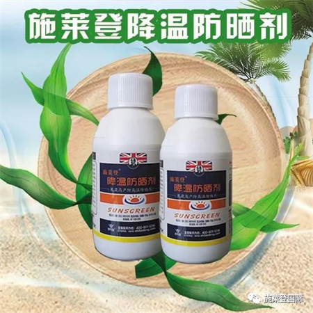作物怕晒！就找施莱登降温防晒剂，直接叶面喷施，效果真好！