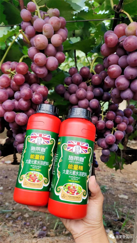 膨果期只补钾肥，可能不但不会膨果，还会形成小老果