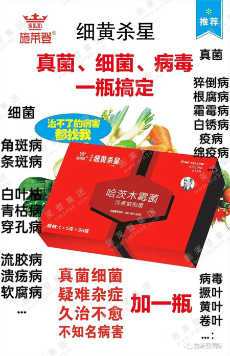 台风雨过后，炭疽、溃疡、腐烂三大病害处理有妙招！
