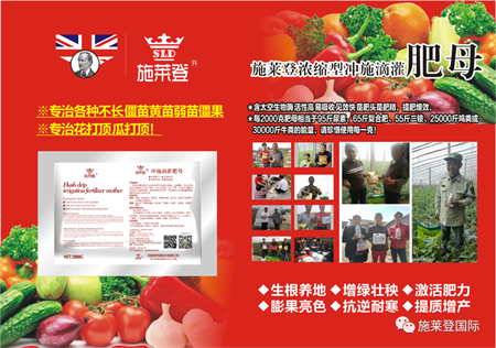 施莱登肥母---专治各种不长或者长得慢！花打顶，瓜打顶，僵苗黄苗弱苗，僵果！