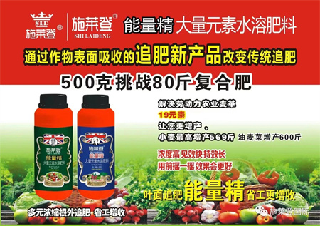 关于盐碱地种植优质饲草，就用施莱登盐碱改良剂
