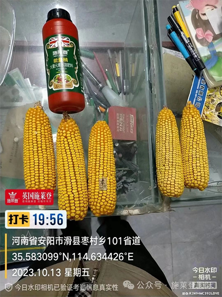 叶面追肥新产品施莱登能量精，让作物长势有劲、产量提高
