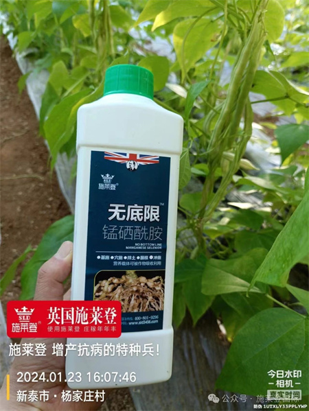 杀线虫就用施莱登无底限，一次使用一季无线