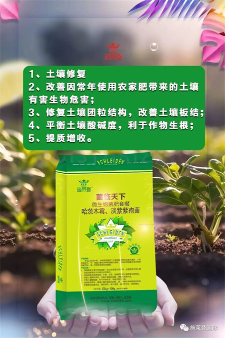培肥改良土壤的好产品——施莱登菌临天下