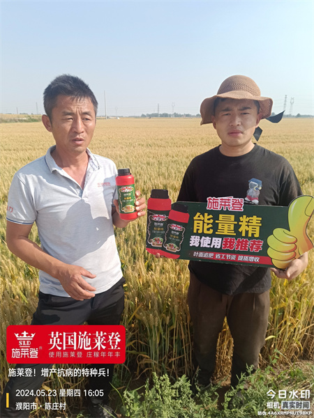 小麦用施莱登能量精，效果好还不贵