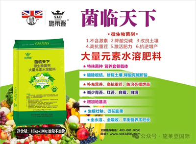 施莱登用心做好肥