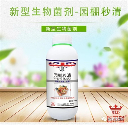 移栽定植前后，解决死苗烂棵，用施莱登园棚秒清