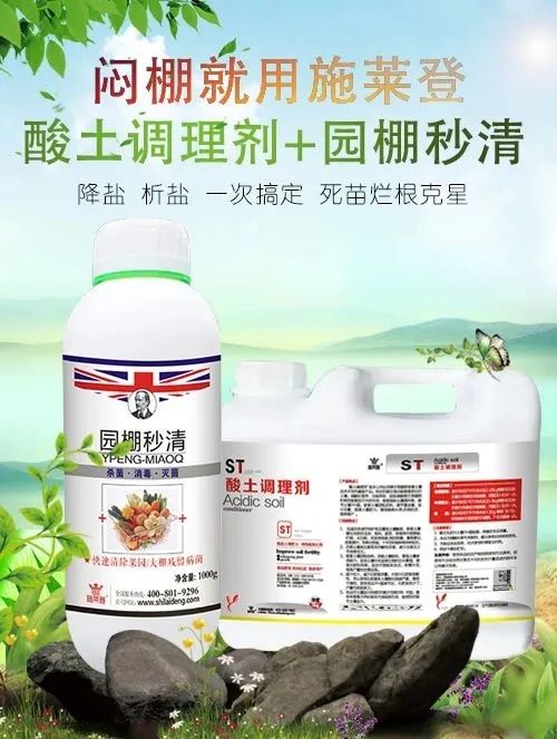 换茬闷棚季节，解决死苗烂棵施莱登有绝招！