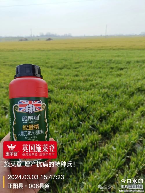 为什么大家都在用施莱登能量精？
