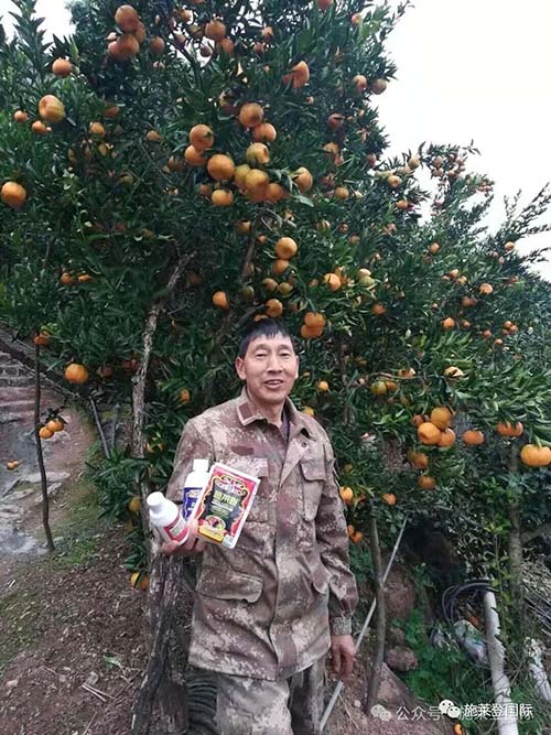 施莱登2026农作物种植管理方案