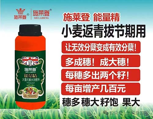 施莱登关于春季小麦、水稻稳产提产的几点建议