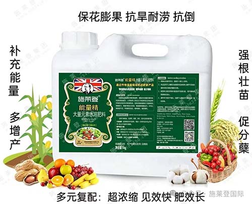 施莱登带你了解水稻增产技巧